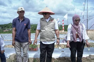 Hadiri Penanaman Cabai Perdana di Galang Baru, Wagub Nyanyang: "Pemprov Kepri Dorong Kemandirian Pangan"