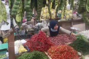 Harga Cabai di Tanjungpinang Mulai Normal