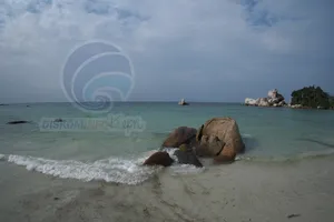 Pantai di Bintan Kembali Tercemar Limbah Minyak