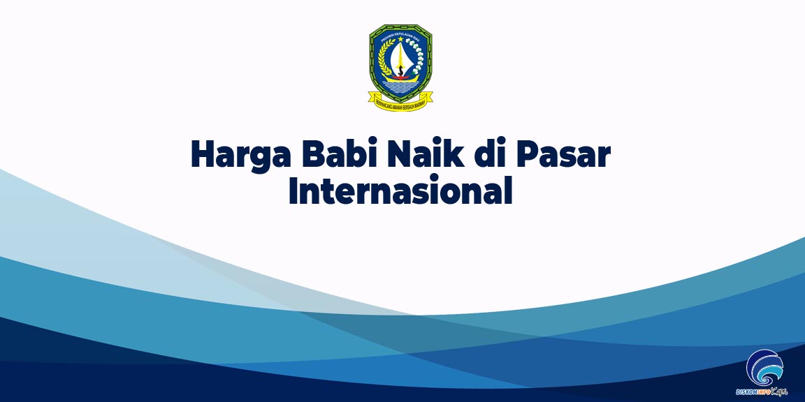Harga Babi Naik di Pasar Internasional