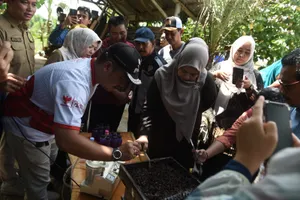Peluang Wisata Baru Kota Tanjungpinang.... Budi Daya Madu Kelulut Kampung Karang Rejo Pinang Kencana