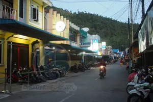 PLN Diminta Tuntaskan Program Kepri Terang