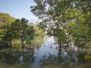 UMRAH-BRGM RI Bangun Wisata Mangrove di Pulau Bintan