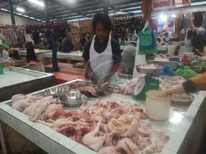 Harga Daging Ayam di Tanjungpinang Stabil Selama Pandemi COVID-19
