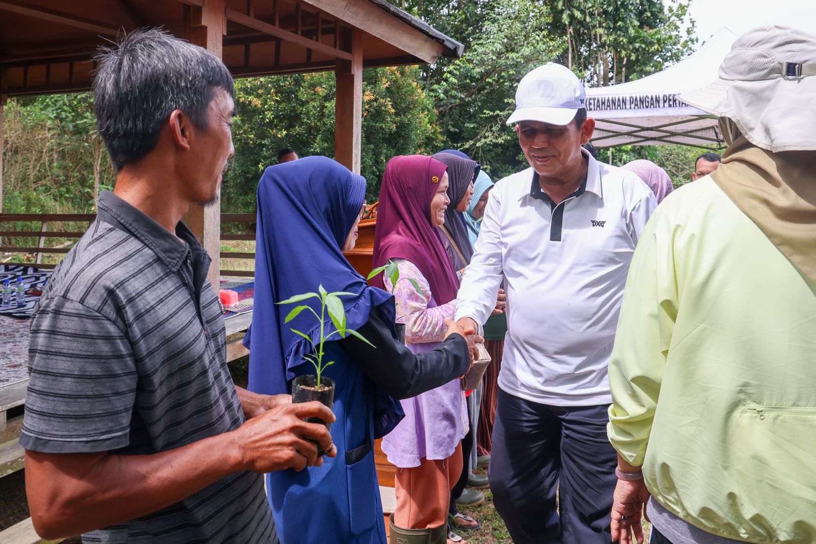 Pemprov  Kepri Bagikan Bibit Cabai Gratis, Ayo Manfaatkan Perkarangan Rumah