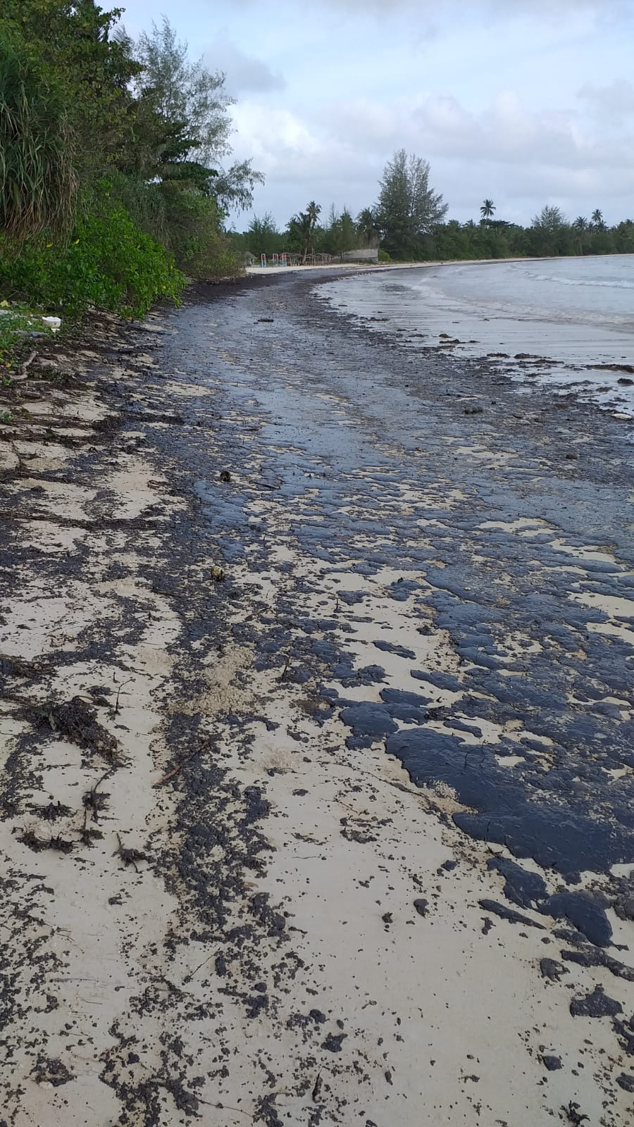 Pantai Trikora Bukan Tempat Penampungan Limbah Minyak Hitam