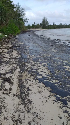 Pantai Trikora Bukan Tempat Penampungan Limbah Minyak Hitam
