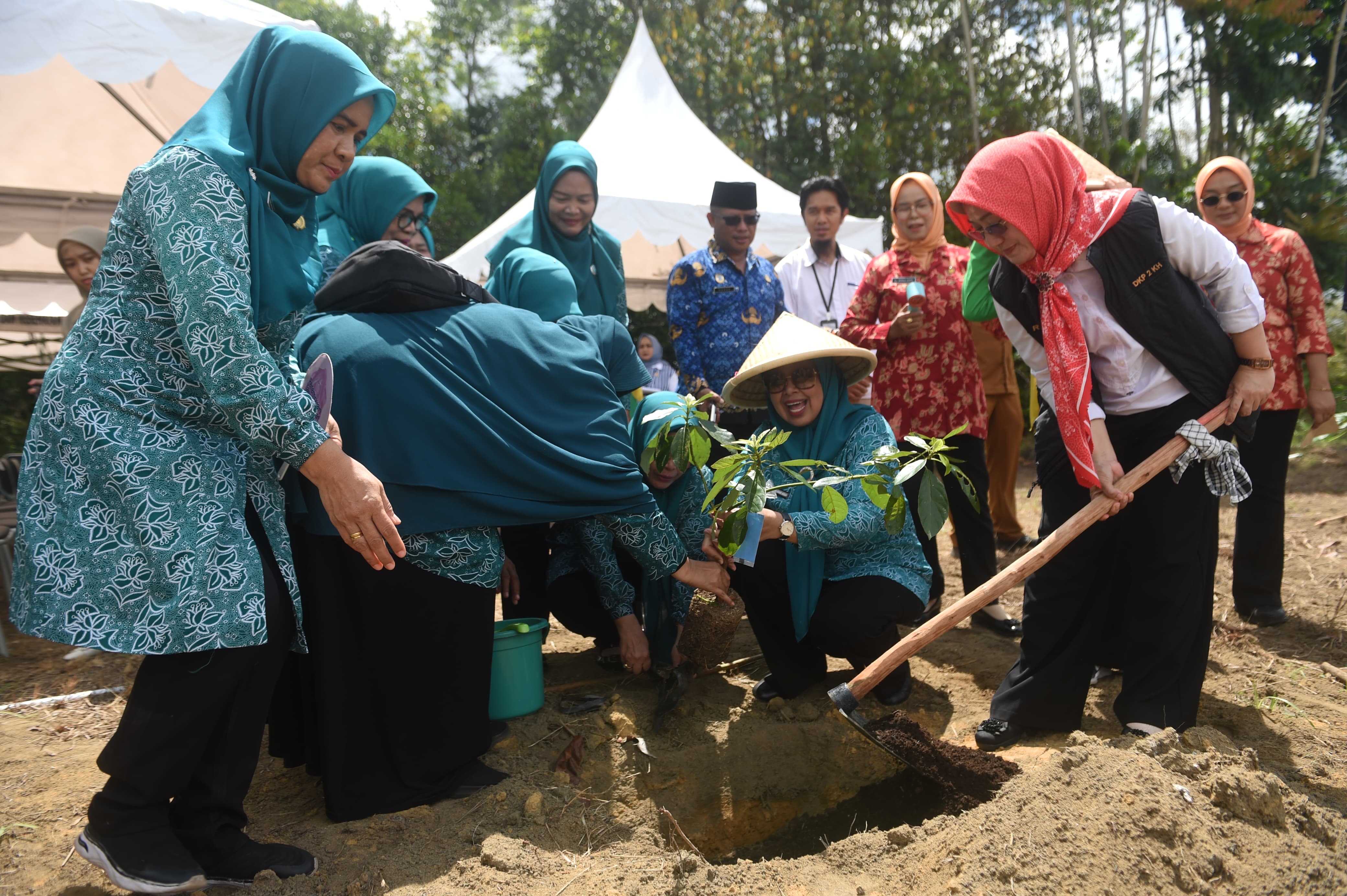 TP PKK Kepri Serahkan Bantuan Bibit Cabai di Bintan