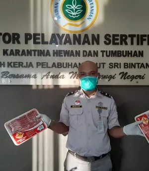 Daging Babi dan Benih Tanaman Hias Ditahan Karantina Pertanian Tanjungpinang