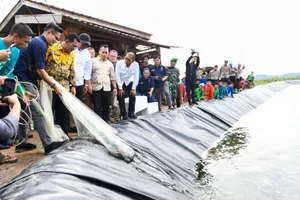 Gubernur Kepri Ansar Ahmad Kunjungi Lingga, Apresiasi Budidaya Udang Vaname di Desa Tinjul
