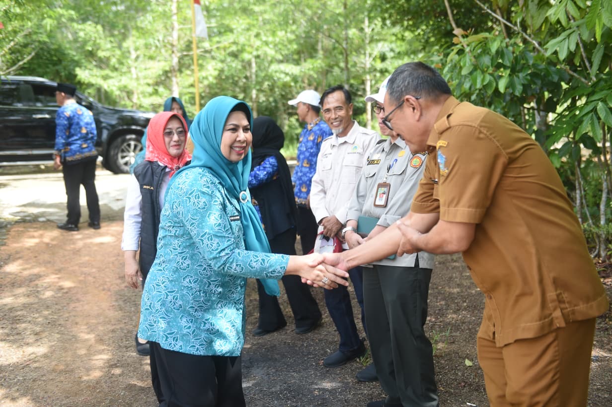 TP PKK Kepri Serahkan Bantuan Bibit Cabai di Bintan