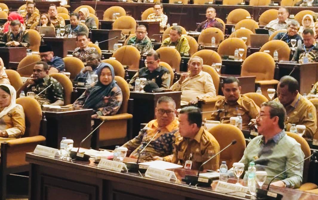 Wagub Nyanyang Hadiri Kegiatan Diseminasi BULD DPD RI