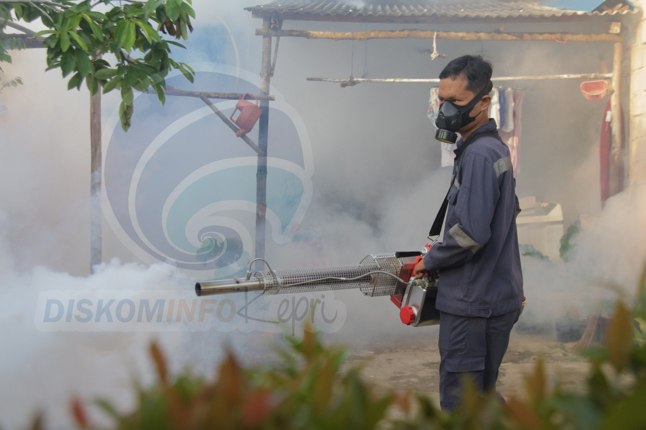 Dinkes Kepri Minta Masyarakat Waspadai Penyakit DBD