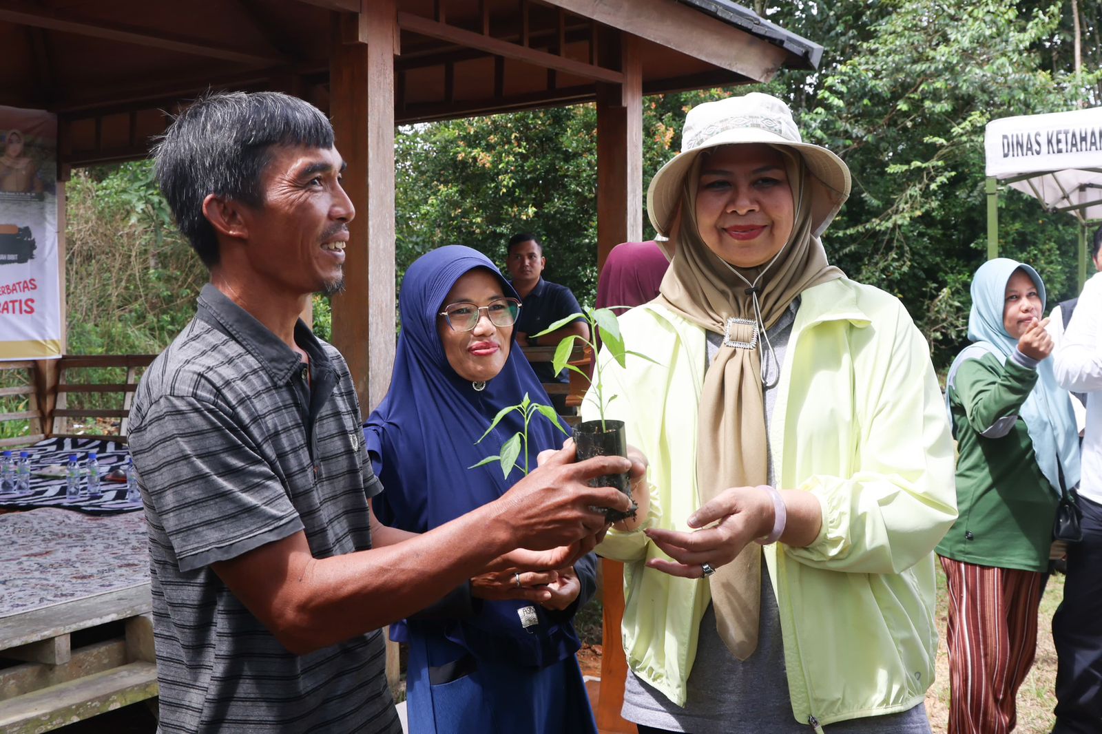 Pemprov  Kepri Bagikan Bibit Cabai Gratis, Ayo Manfaatkan Perkarangan Rumah