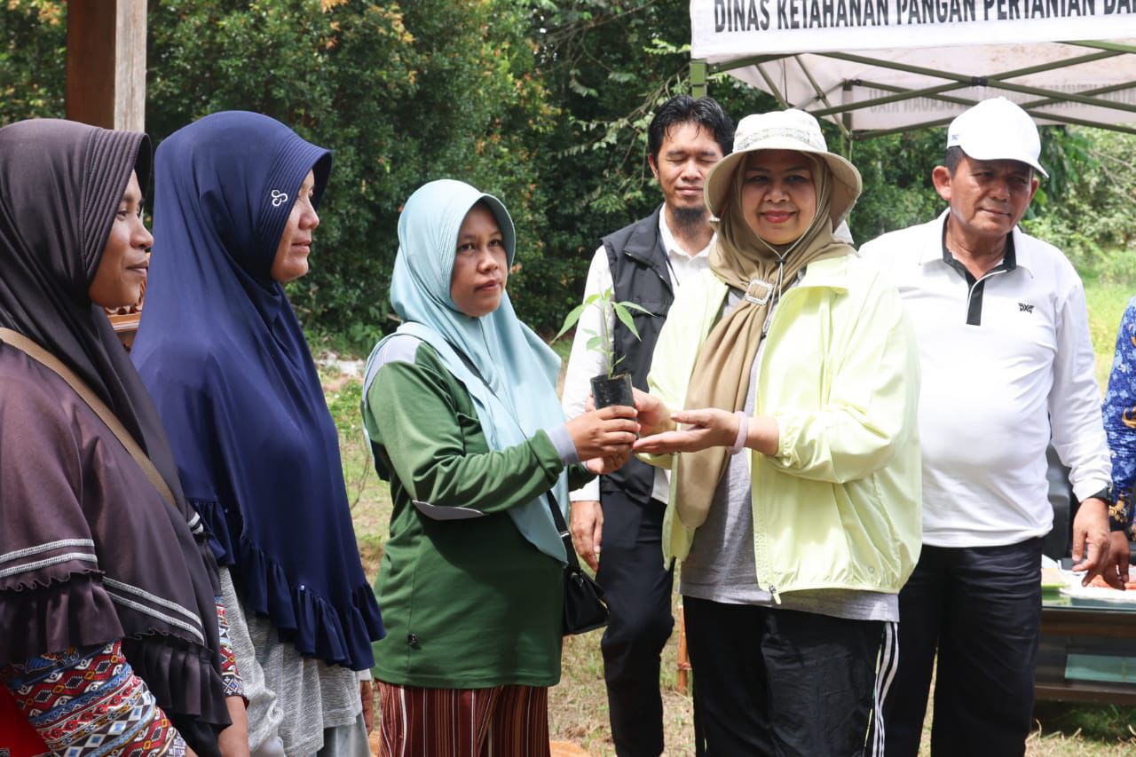 Pemprov  Kepri Bagikan Bibit Cabai Gratis, Ayo Manfaatkan Perkarangan Rumah