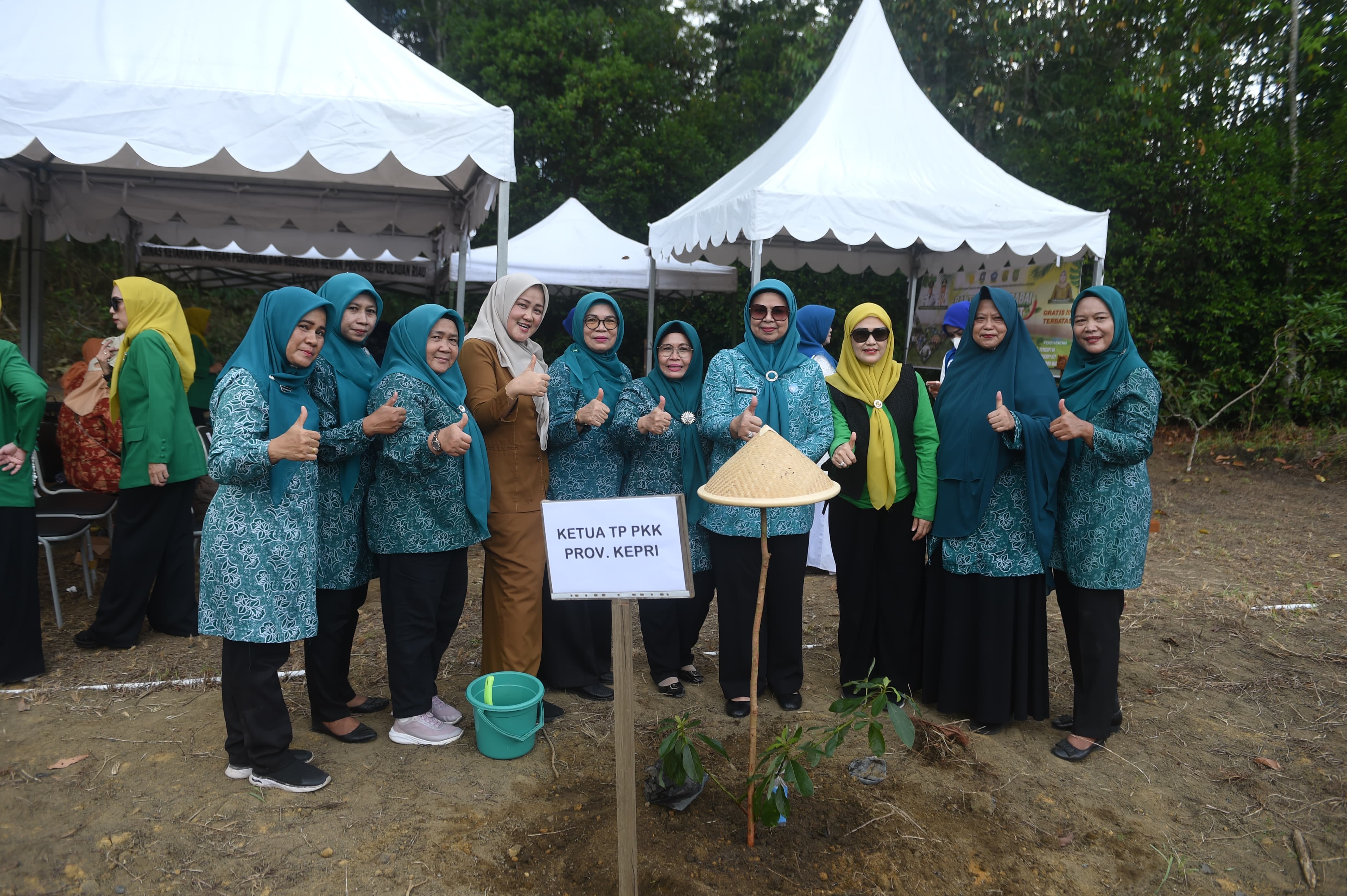 TP PKK Kepri Serahkan Bantuan Bibit Cabai di Bintan