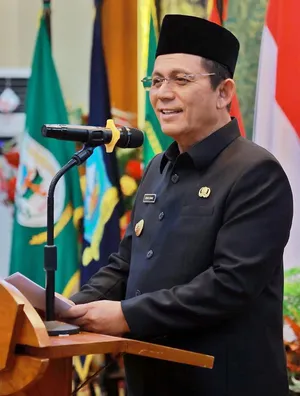 Alasan Gubernur Ansar Ahmad agar Short Term Visa Diterapkan di Kepri