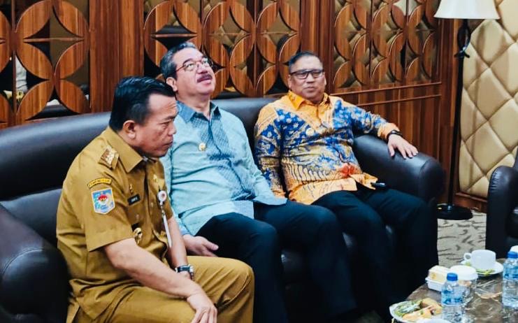 Wagub Nyanyang Hadiri Kegiatan Diseminasi BULD DPD RI