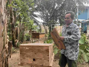 Pengembangan Madu Kelulut Kp. Karang RejoTanjungpinang