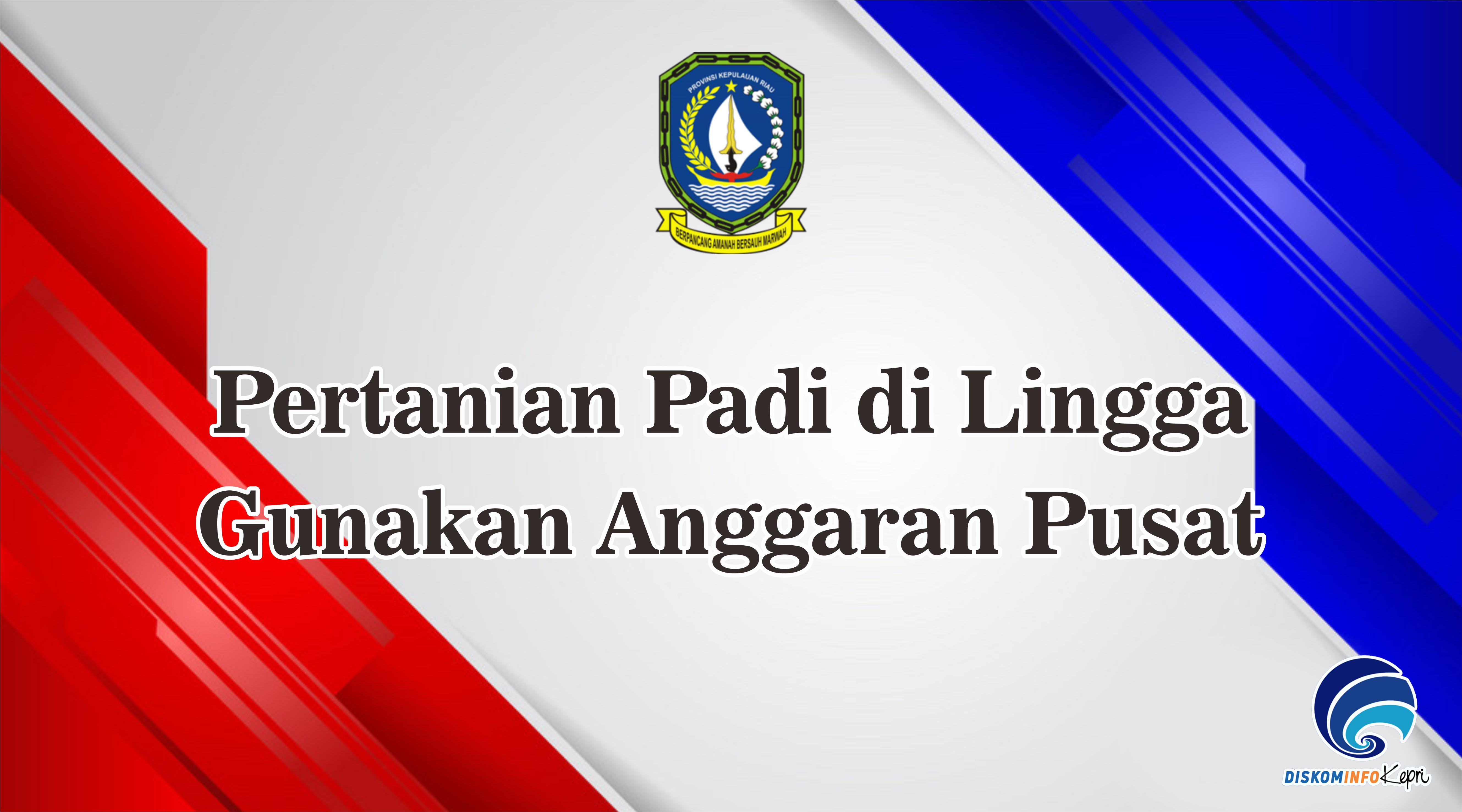Pertanian Padi di Lingga  Gunakan Anggaran Pusat
