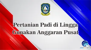 Pertanian Padi di Lingga  Gunakan Anggaran Pusat
