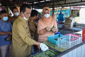 Gubernur Dan TP PKK Kepri Tinjau Rencana Penataan Kawasan Wisata Sei Enam Kijang