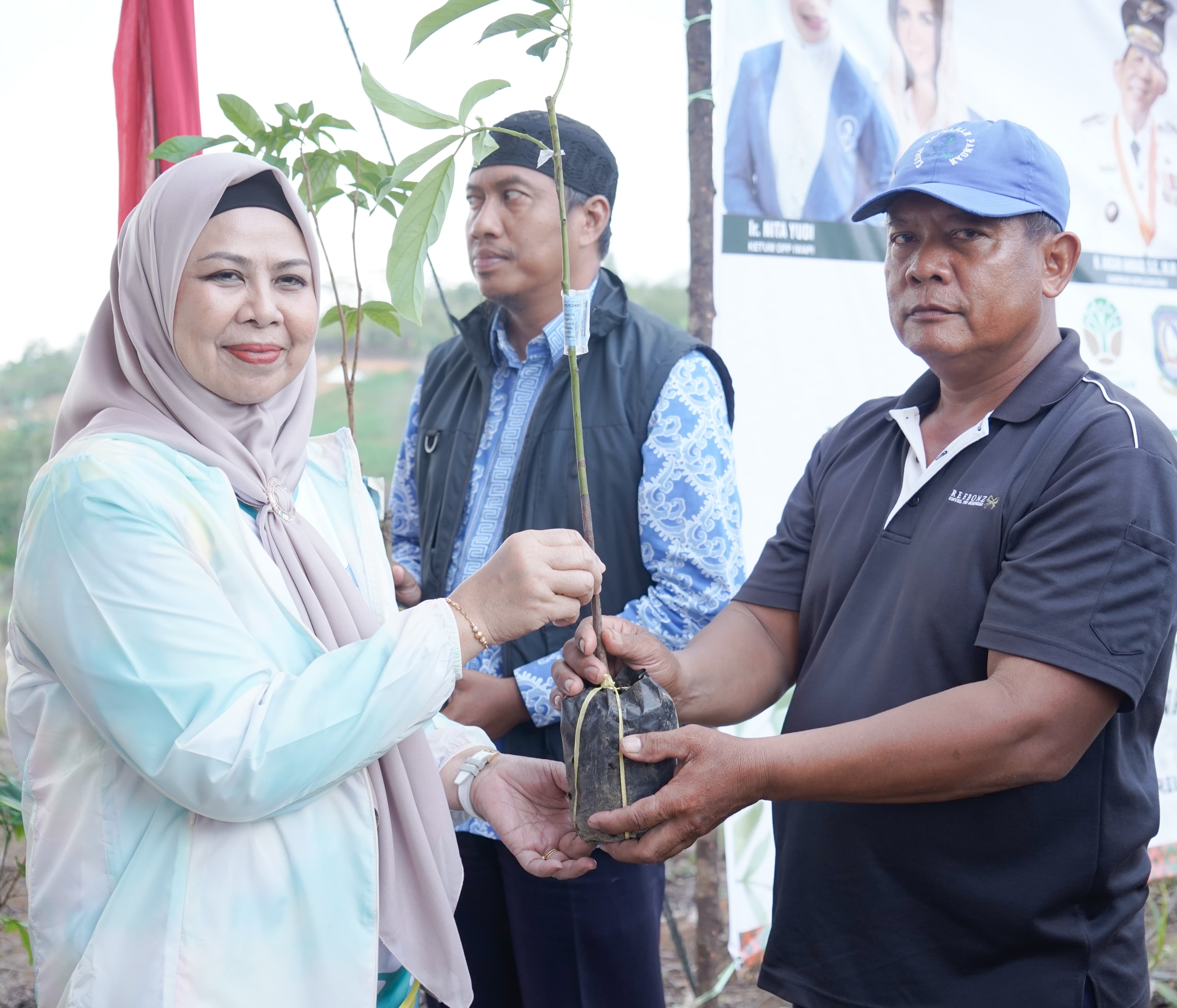 BKOW Kepri Bagikan 700 Bantuan Bibit Tanaman Perkebunan di Cikolek Toapaya Selatan