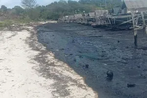 Limbah Minyak Hitam Cemari Pantai Bintan