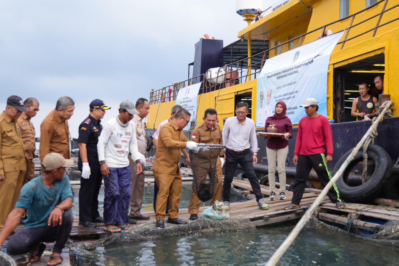 Gubernur Ansar Lepas 7 Ton Ikan Kerapu Ekspor ke Hongkong, Tandai Kembali Bergeliatnya Ekspor Perikanan Kepri