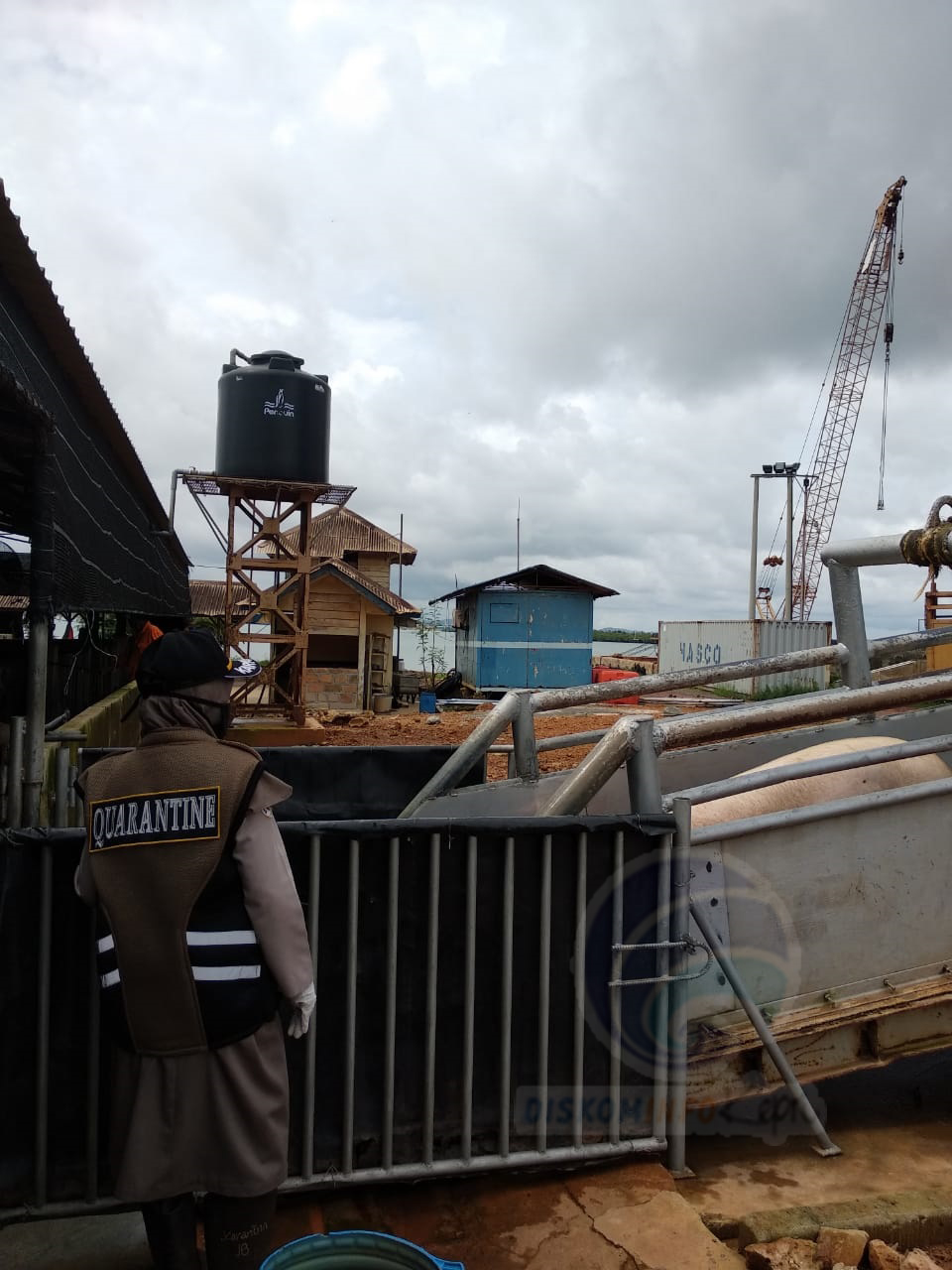 Cegah Flu Babi G4, Pimpinan  Karantina Tanjungpinang Supervisi Sistem Biosekuriti Pulau Bulan