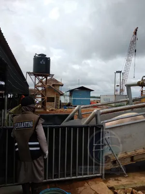 Cegah Flu Babi G4, Pimpinan  Karantina Tanjungpinang Supervisi Sistem Biosekuriti Pulau Bulan