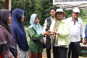 Pemprov  Kepri Bagikan Bibit Cabai Gratis, Galakkan Pemanfaatan Perkarangan Rumah