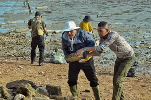 Ngabuburit Sambil Goro, Gubernur Ansar Pimpin Aksi Bersih Laut di Pulau Penyengat