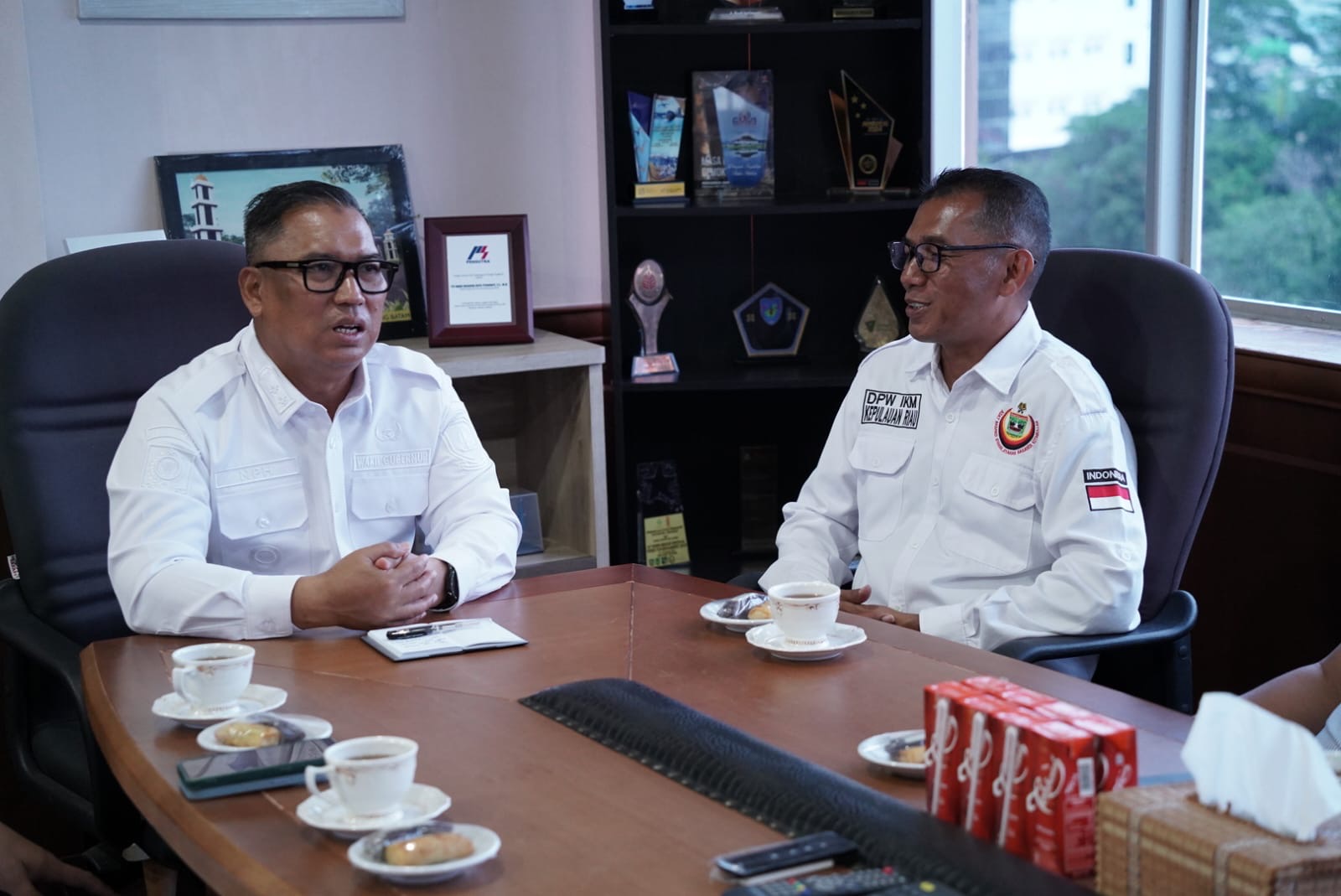 Wagub Nyanyang Terima Silaturahmi IKM Kepri, Ajak Bersama Majukan Kepulauan Riau