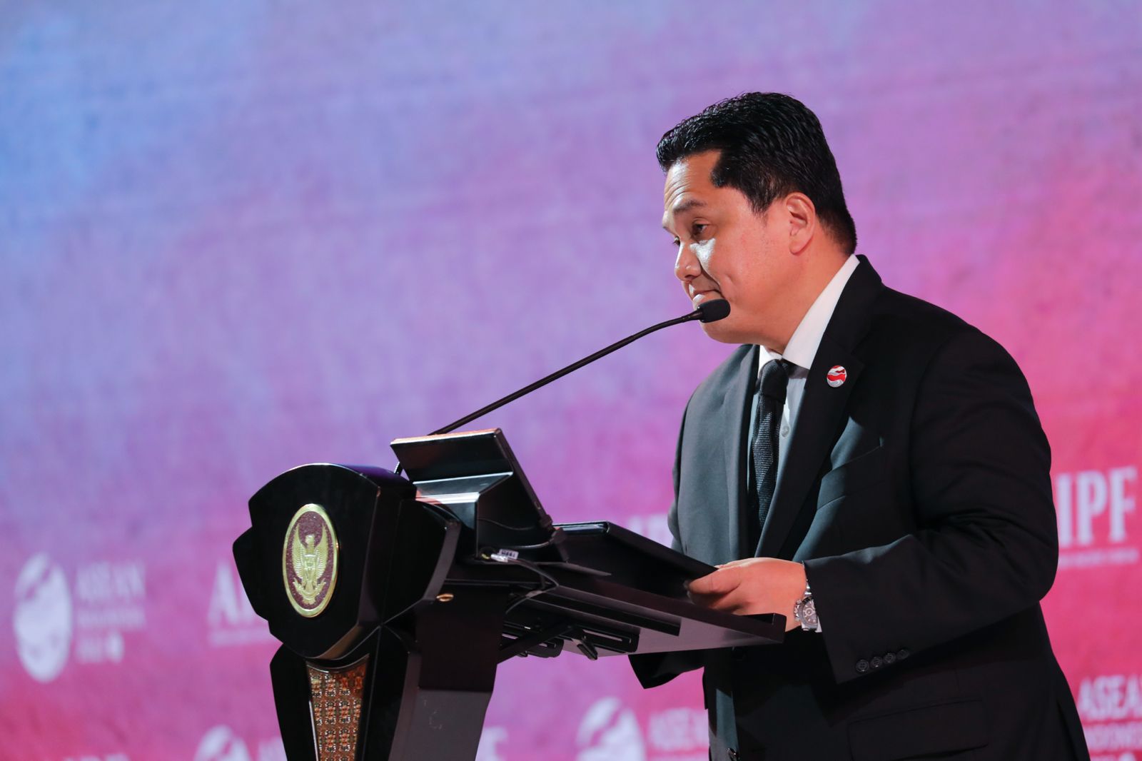 BUMN Didorong Perluas Kemitraan di Luar Kawasan Asia Tenggara