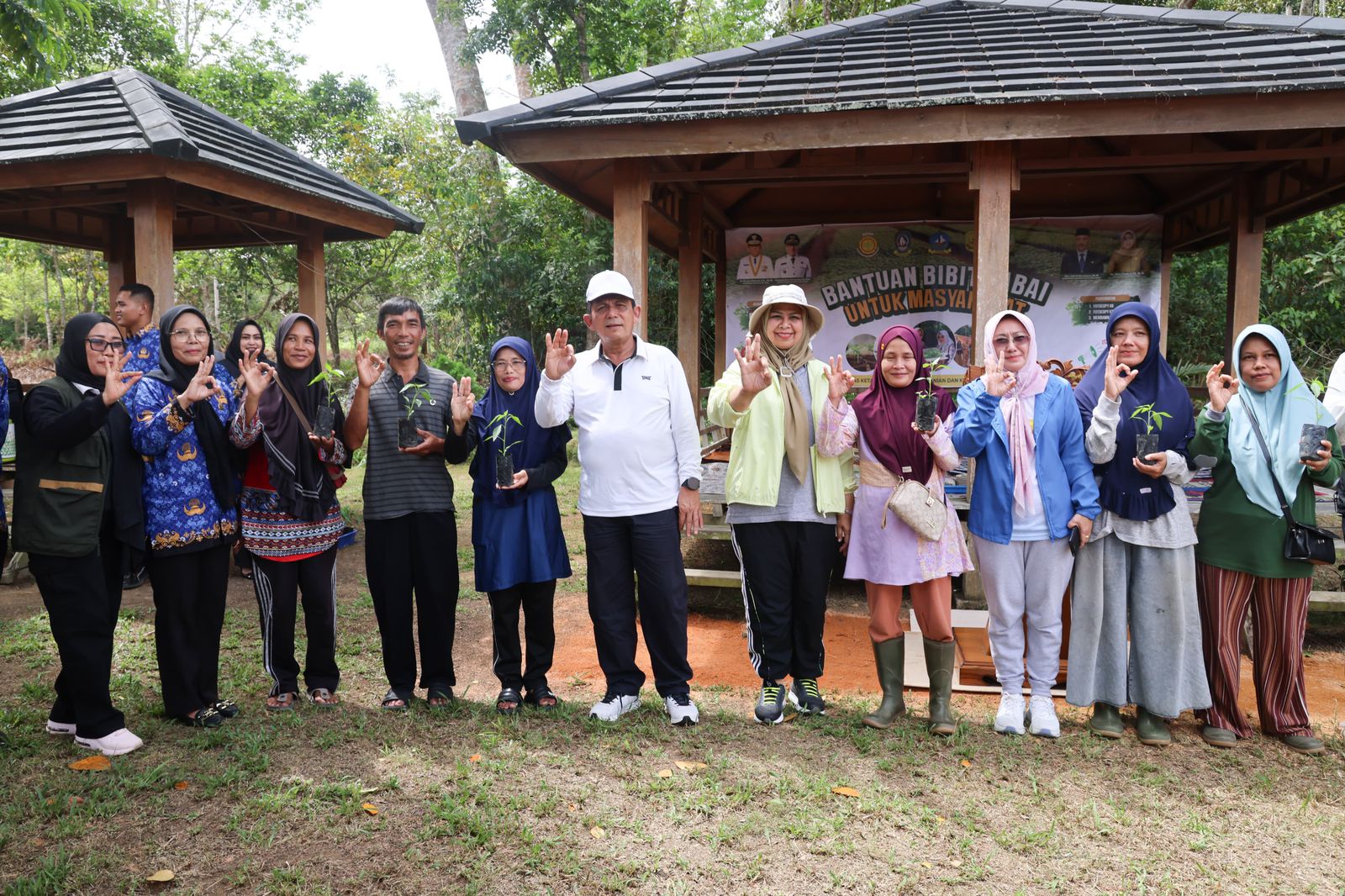 Pemprov  Kepri Bagikan Bibit Cabai Gratis, Ayo Manfaatkan Perkarangan Rumah