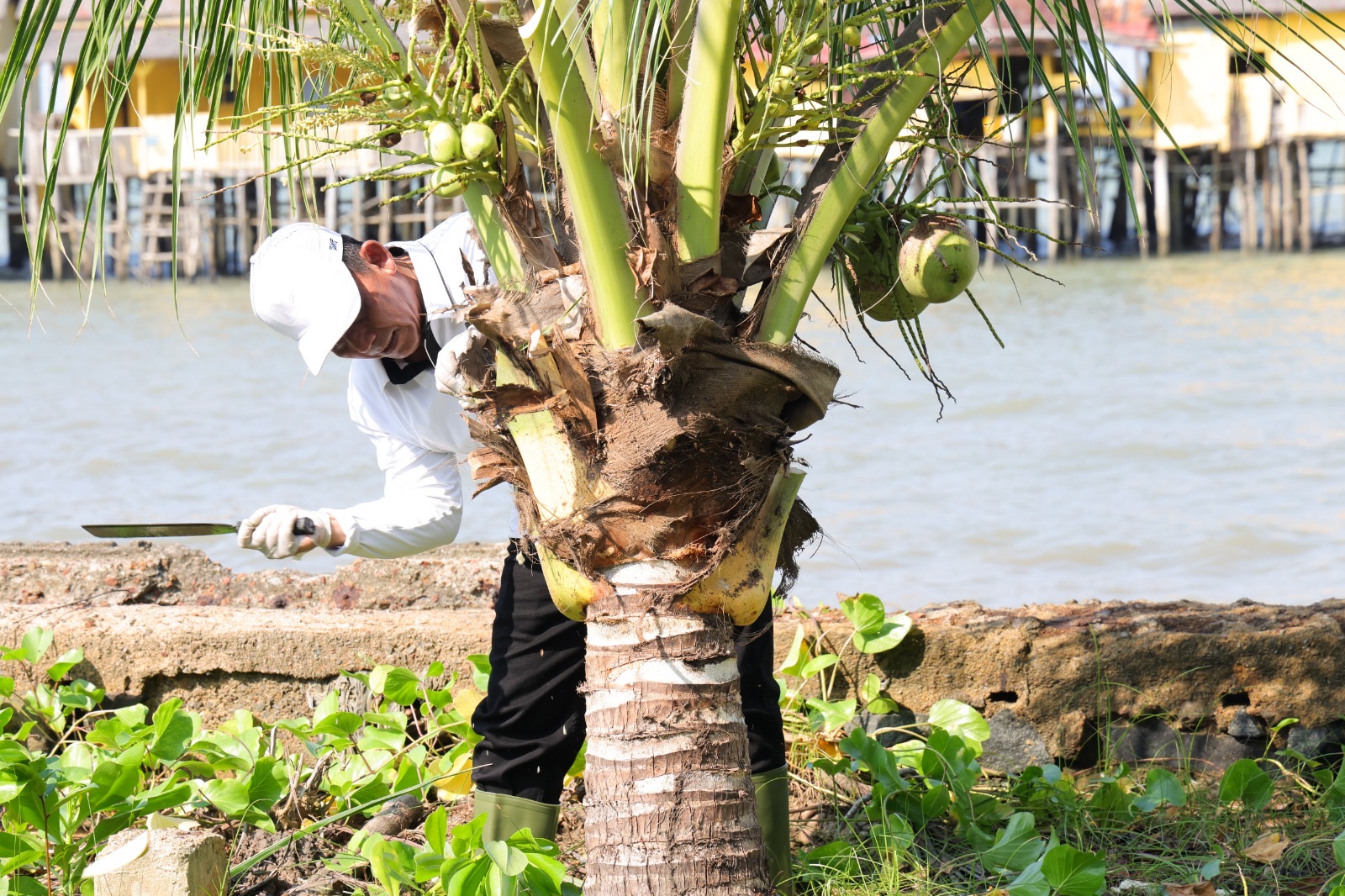 Pulau Penyengat Jadi Lokasi Gerakan Wisata Bersih Nasional, Gubernur Ansar Siap Turun Tangan