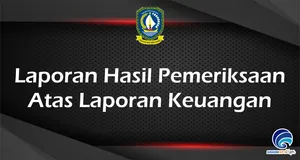 Laporan Hasil Pemeriksaan Atas Laporan Keuangan