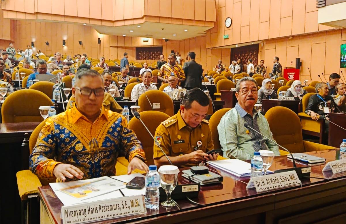 Wagub Nyanyang Hadiri Kegiatan Diseminasi BULD DPD RI