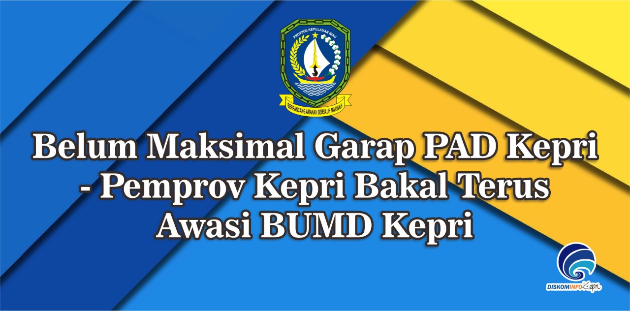 Belum Maksimal Garap PAD Kepri - Pemprov Kepri Bakal Terus Awasi BUMD Kepri