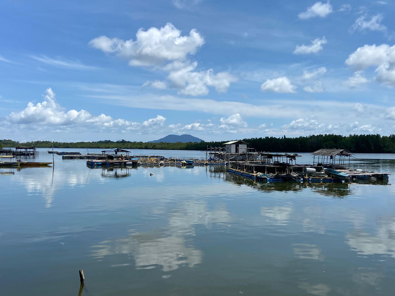 Proyek Ketahanan Pangan Maritim Polda Kepri Berlanjut di Madong, Tanjungpinang
