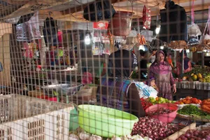 IHK Kepri Oktober Alami Inflasi 0,30 Persen