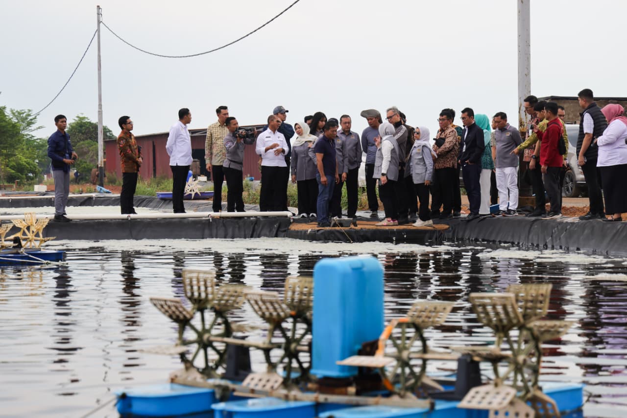 Komisi IX DPR RI Dorong Pengembangan Budidaya Udang Vaname dan Ketenagakerjaan di Kepri
