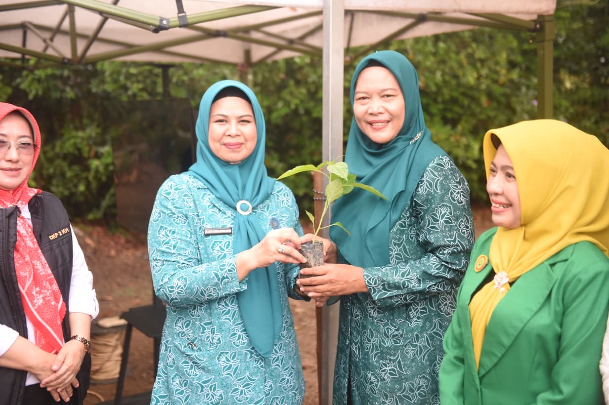 Bantuan Bibit Cabai untuk Masyarakat Kepri Mulai Disalurkan