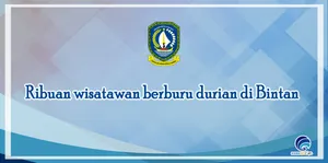 Ribuan wisatawan berburu durian di Bintan