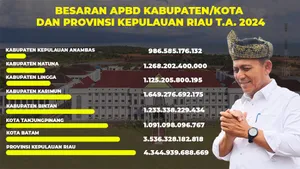 Cara Gubernur Ansar Mencegah Ketimpangan Pembangunan di Tengah Minimnya Anggaran