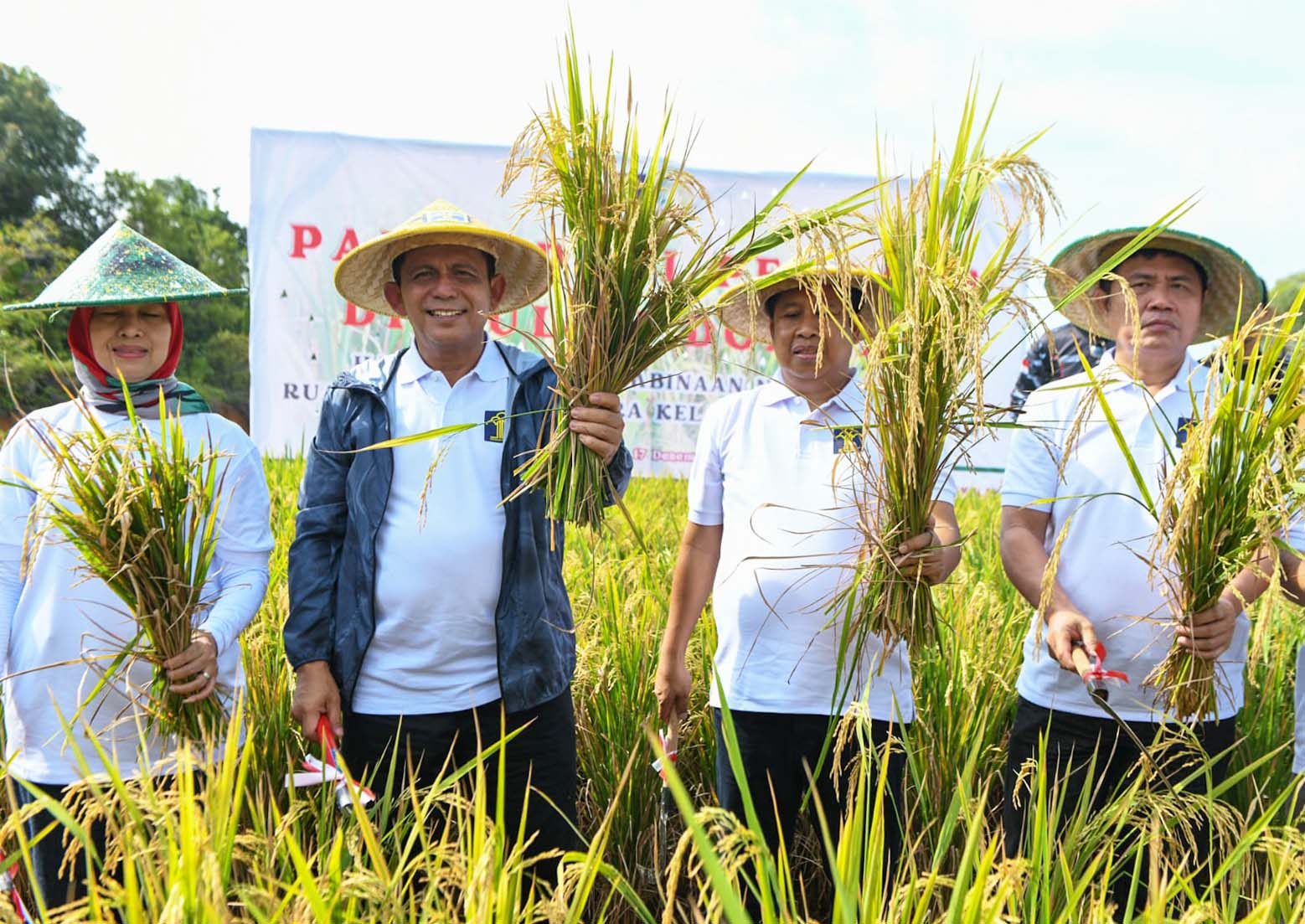 Gubernur Ansar Ikut Panen Perdana Padi Program Pembina Narapidana Rutan Kelas 1 Tanjungpinang