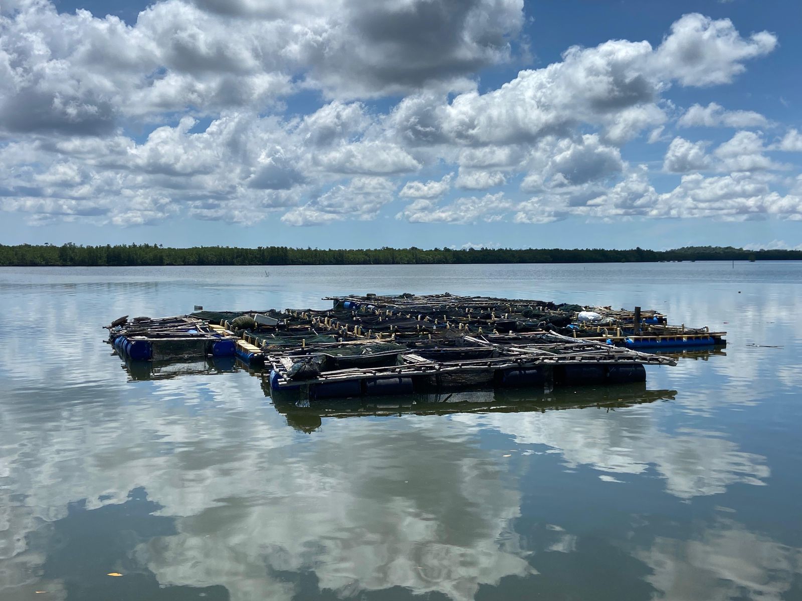 Proyek Ketahanan Pangan Maritim Polda Kepri Berlanjut di Madong, Tanjungpinang