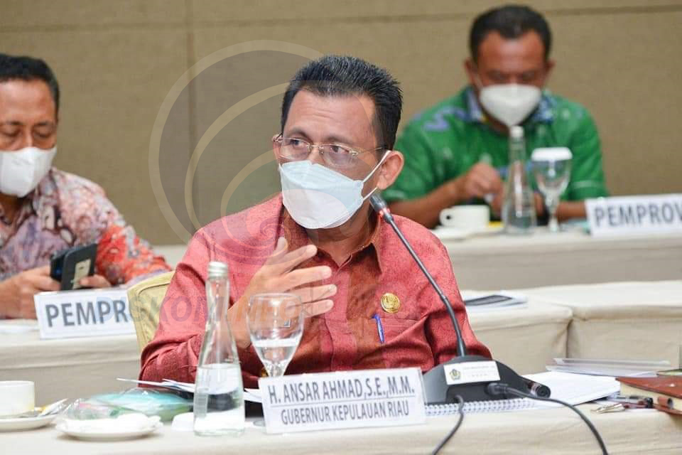 Ansar: Ekspor Jadi Indikator Pertumbuhan Ekonomi Kepri