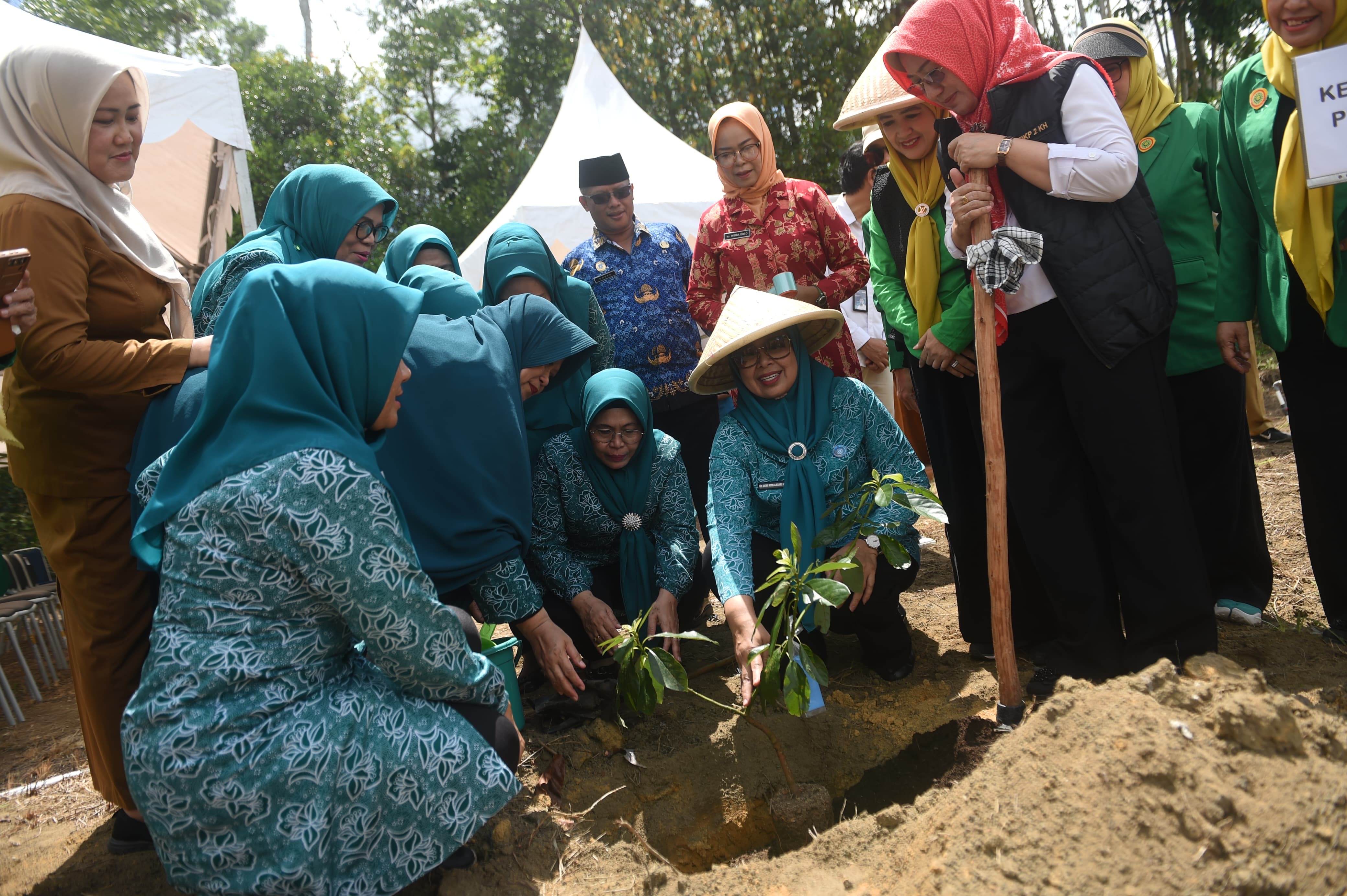 TP PKK Kepri Serahkan Bantuan Bibit Cabai di Bintan